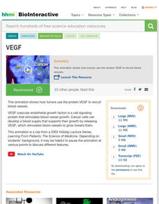 VEGF Instructional Video VEGF Instructional Video
