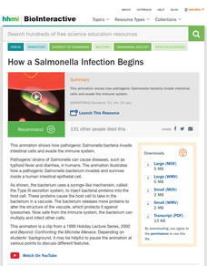 Intracellular Infection by Salmonella Instructional Video Intracellular Infection by Salmonella Instructional Video