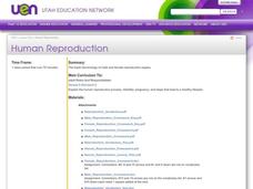 Human Reproduction Lesson Plan Human Reproduction Lesson Plan