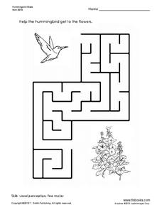 Hummingbird Maze Worksheet Hummingbird Maze Worksheet