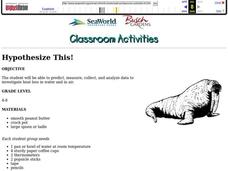 HYPOTHESIZE THIS! Lesson Plan HYPOTHESIZE THIS! Lesson Plan