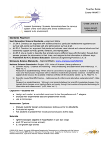 Caeno-WHAT?? Lesson Plan Caeno-WHAT?? Lesson Plan