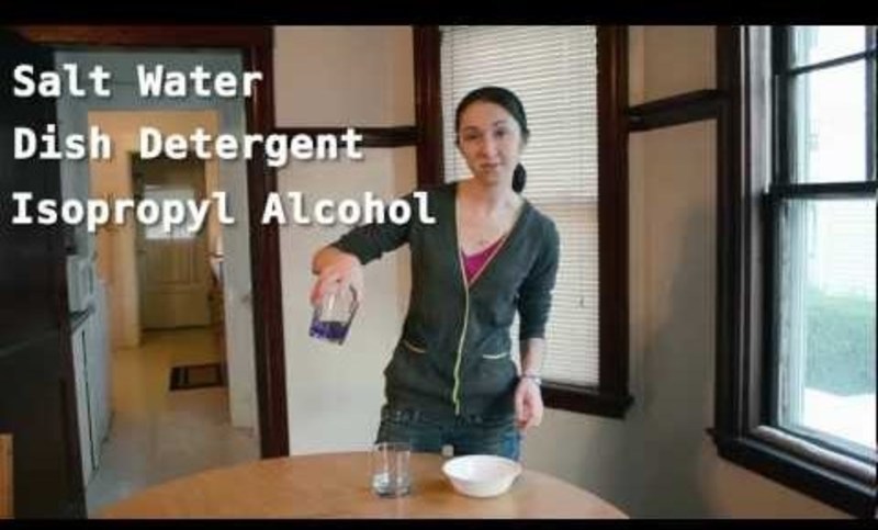 DNA Extraction! Video DNA Extraction! Video