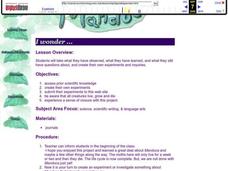 I Wonder... Lesson Plan I Wonder... Lesson Plan