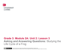 Asking and Answering Questions: Studying the Life Cycle of a Frog Lesson Plan Asking and Answering Questions: Studying the Life Cycle of a Frog Lesson Plan