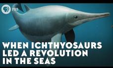 When Ichthyosaurs Led a Revolution in the Seas Instructional Video When Ichthyosaurs Led a Revolution in the Seas Instructional Video