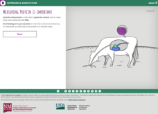 Nitrogen in Feed Interactive Nitrogen in Feed Interactive