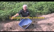 Soil Sampling: Random Sampling a Small Field with Hammer Probe Video Soil Sampling: Random Sampling a Small Field with Hammer Probe Video