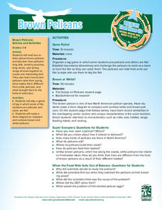 Brown Pelicans Lesson Plan Brown Pelicans Lesson Plan