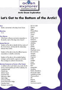 Let's Get to the Bottom of the Arctic! Lesson Plan Let's Get to the Bottom of the Arctic! Lesson Plan