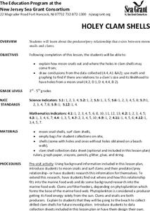Holey Clamshells Lesson Plan Holey Clamshells Lesson Plan