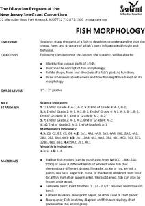 Fish Morphology Lesson Plan Fish Morphology Lesson Plan