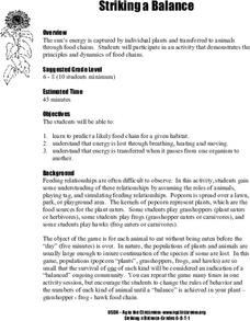 Striking a Balance Lesson Plan Striking a Balance Lesson Plan