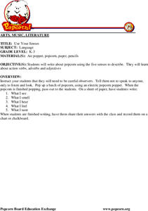 Use Your Senses Lesson Plan Use Your Senses Lesson Plan