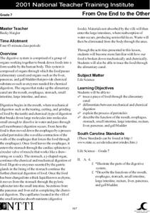 From One End to the Other Lesson Plan From One End to the Other Lesson Plan