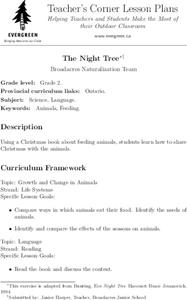 The Night Tree Lesson Plan The Night Tree Lesson Plan