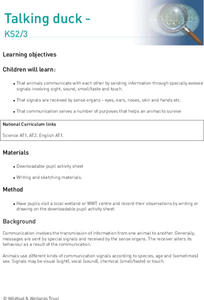 Talking Duck Lesson Plan Talking Duck Lesson Plan