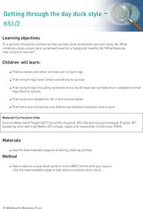 Getting Through the Day Duck Style Lesson Plan Getting Through the Day Duck Style Lesson Plan