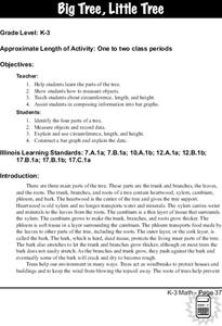 Trees Lesson Plan Trees Lesson Plan