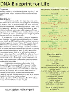 DNA Blueprint for Life Lesson Plan DNA Blueprint for Life Lesson Plan