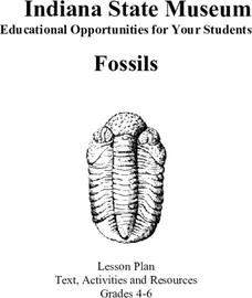 Fossils Lesson Plan Fossils Lesson Plan