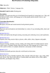 Butterflies Lesson Plan Butterflies Lesson Plan