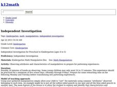 Independent Investigation Lesson Plan Independent Investigation Lesson Plan