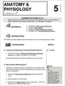 Anatomy and Physiology Lesson Plan Anatomy and Physiology Lesson Plan