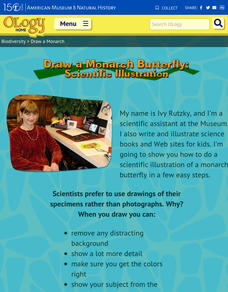 Draw a Monarch Butterfly: Scientific Illustrations Activity Draw a Monarch Butterfly: Scientific Illustrations Activity