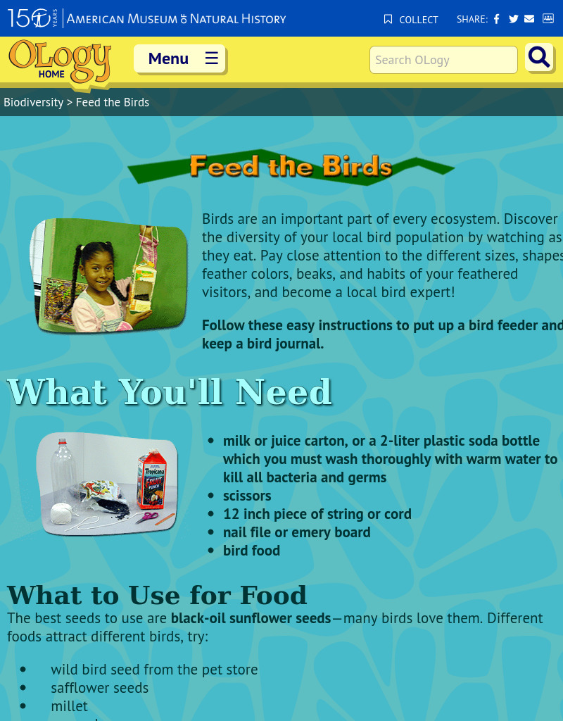 Feed the Birds Activities & Project Feed the Birds Activities & Project