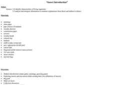 Insect Introduction Lesson Plan Insect Introduction Lesson Plan