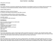 Insect Survival - Camouflage Lesson Plan Insect Survival - Camouflage Lesson Plan