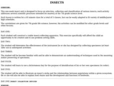 Insects Unit Plan Insects Unit Plan