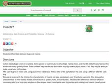 Insects? Lesson Plan Insects? Lesson Plan