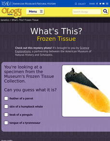 What's This? Frozen Tissue Interactive What's This? Frozen Tissue Interactive