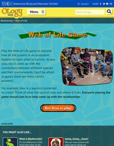 Web of Life Game Activity Web of Life Game Activity