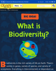 What is Biodiversity? Website What is Biodiversity? Website