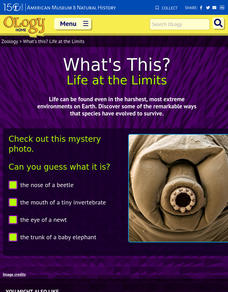 What's This? Life at the Limits Interactive What's This? Life at the Limits Interactive
