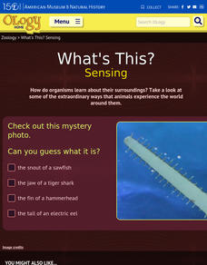 What's This? Sensing Interactive What's This? Sensing Interactive