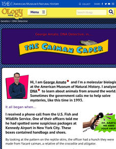 DNA Detective Interactive DNA Detective Interactive