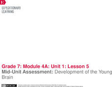 Mid-Unit Assessment: Development of the Young Brain Lesson Plan Mid-Unit Assessment: Development of the Young Brain Lesson Plan