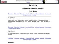 Insects Lesson Plan Insects Lesson Plan