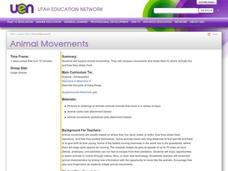 Animal Movements Lesson Plan Animal Movements Lesson Plan