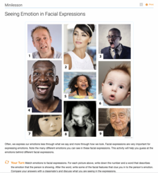 Seeing Emotion in Facial Expressions Activity Seeing Emotion in Facial Expressions Activity