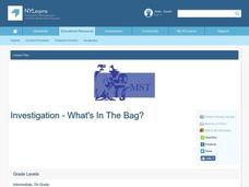 Investigation - What's in the Bag? Lesson Plan Investigation - What's in the Bag? Lesson Plan