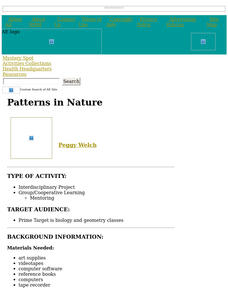 Patterns in Nature Lesson Plan Patterns in Nature Lesson Plan