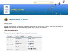 Irregular Plurals of Nouns Worksheet Irregular Plurals of Nouns Worksheet