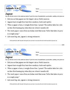 Jaguar Worksheet Jaguar Worksheet