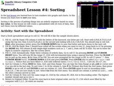 Sorting Lesson Plan Sorting Lesson Plan