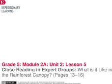 Close Reading in Expert Groups: What is it Like in the Rainforest Canopy? (Pages 13–16) Lesson Plan Close Reading in Expert Groups: What is it Like in the Rainforest Canopy? (Pages 13–16) Lesson Plan